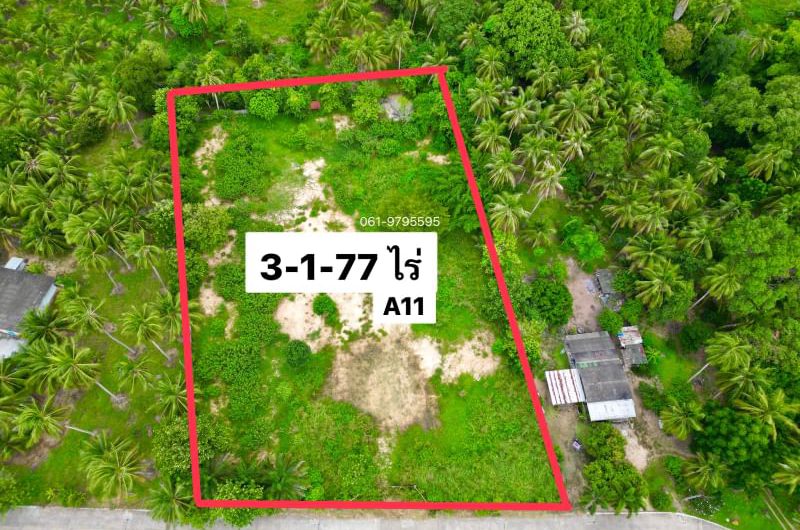 Land for sale in Takhian Tia, Bang Lamung, beautiful plot, good location, near Laem Chabang