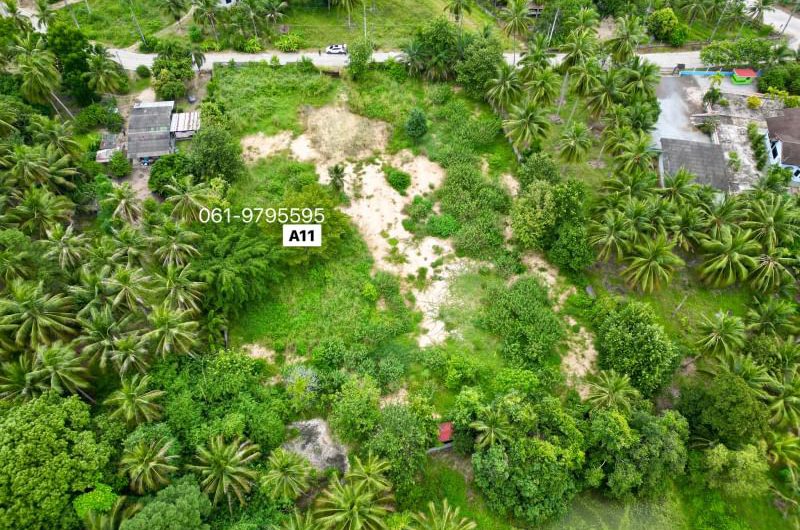 Land for sale in Takhian Tia, Bang Lamung, beautiful plot, good location, near Laem Chabang