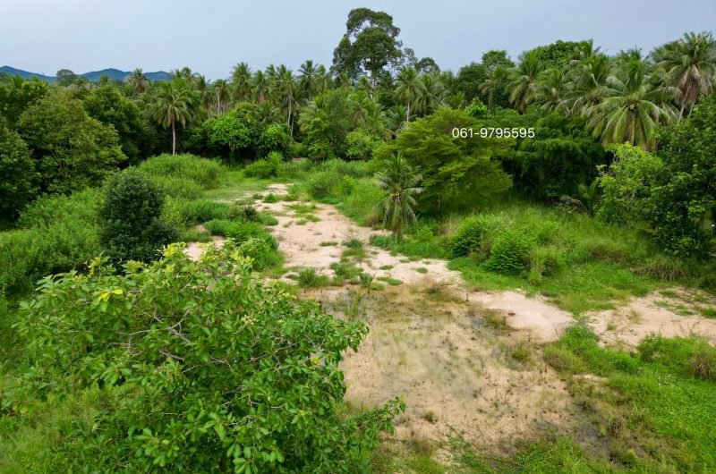 Land for sale in Takhian Tia, Bang Lamung, beautiful plot, good location, near Laem Chabang